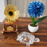 مجسمه  پلی استر|مجسمه، تندیس، ماکت|نظرآباد, نظرآباد|دیوار