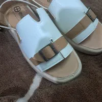 صندل|کیف، کفش، کمربند|فلاورجان, |دیوار