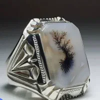 انواع شجر وفیروزه بشرط کارشناسی ببر925|بدلیجات|یزد, |دیوار