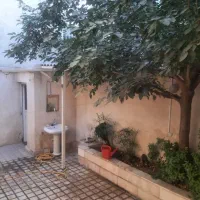 مطهری جنوبی/سنایی/صاحب الزمان/سعدآباد|اجارهٔ خانه و ویلا|مشهد, سعد آباد|دیوار