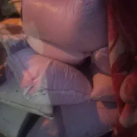 ۴۰ کیسه گندم شبرنگ بجاری شده زیر قیمت دولتی|حراج|سرپل ذهاب, |دیوار