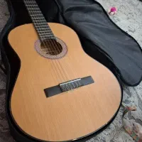 گیتار پارسی