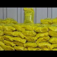 برنج عنبربو شوشتر