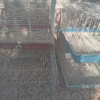 قفس خرگوش و پرنده