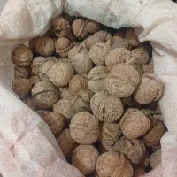 فروش گردو وبادام|حراج|قوچان, |دیوار