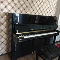 پیانو آکوستیک کارل اشتنبرگ