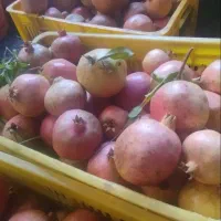 انار طارم|خوردنی و آشامیدنی|گیلوان, |دیوار