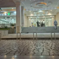گربه|گربه|شیراز, شهرک گلستان|دیوار