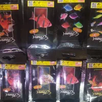 مولی گوپی فایتر کالر و..