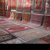 قالیشویی حکیمیه استخرپروین خاک سفیداحسان