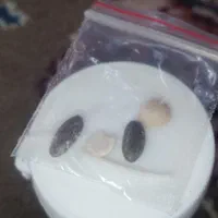 مهره مارباروغنش