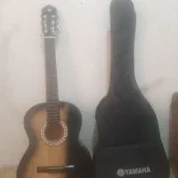 گیتار با کیف