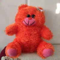 خرسی های نو