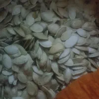 تخمه کدو اوکراین توپر ودرجه یک