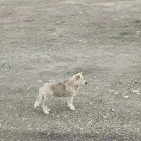 نیاز به مکانی برای حمایت از