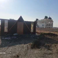 کانکس سویسی