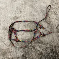 پارک سگ به همراه وسیله های دیگر قیمت عالی|لوازم جانبی حیوانات|تهران, جوادیه|دیوار