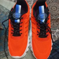 کفش اسپرتی دخترانه یا زنانه|کیف، کفش، کمربند|تبریز, |دیوار