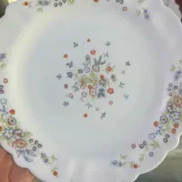 سرویس آرکوپال