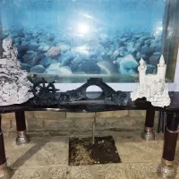 آکواریوم|ماهی|تربتحیدریه, داروپخش|دیوار