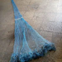 سلیه بیاهی معاوضه