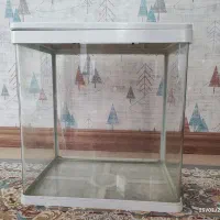 آکواریوم برند دلسا شیک