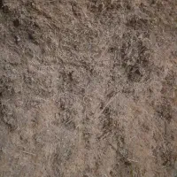 کاه کمپاین نرم