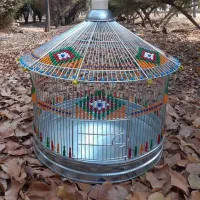 سهره خاکی مست خون دستی