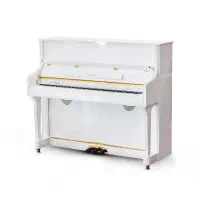 تخفیف ویژه با زمان محدود