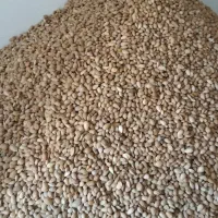 بادام شیرین|عمده‌فروشی|پیرانشهر, |دیوار