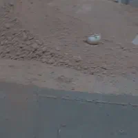 چاه کنی فاضلاب در اسفراین|خدمات پیشه و مهارت|اسفراین, |دیوار