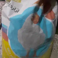 کنسانتره مرغ گوشتی