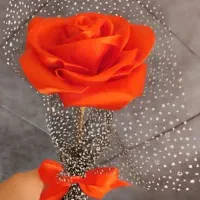 گل رز|صنایع دستی و سایر لوازم تزئینی|کاشان, باغ ماجد|دیوار
