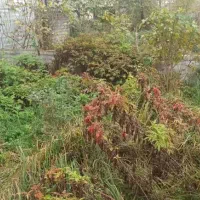 زمین متراژ ۱۶۰ مسکونی فروش فوری|فروش زمین و ملک کلنگی|رشت, گیل|دیوار