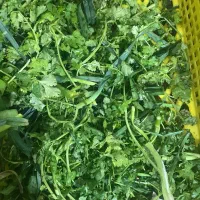 سبزی خرد شده|خوردنی و آشامیدنی|تهران, هفده شهریور|دیوار