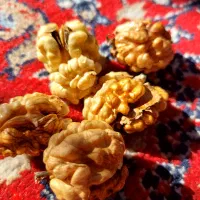 گردو درجه یک درشت و روغنی و سفید دوهزار
