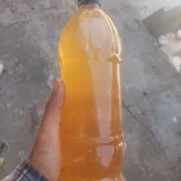 آبغوره و برگ مو مشگین شهر