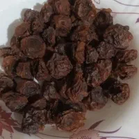 خشکبار رایان|خوردنی و آشامیدنی|مشهد, جانباز|دیوار