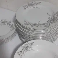 ظروف چینی نفیس|ظروف سرو و پذیرایی|رباط‌کریم, الارد|دیوار