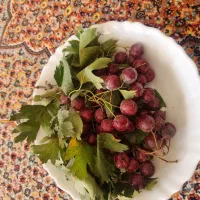 زالزالک شیرین وخوشمزه کیلویی ۱۸۰ت|حراج|خوی, |دیوار