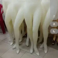 مانکن پا زنانه