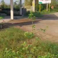 زمین و مغازه در پس بیجار گفشه معاوضه ای