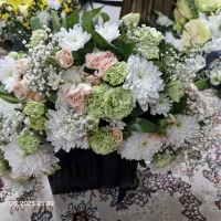 سبد گل|گل و گیاه طبیعی|مشهد, نیروی هوایی|دیوار