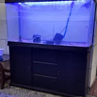 اکواریم شرکتی ابعاد 120 طول عرض 35 ارتفاع 60