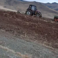 فروش زمین زراعی دیم