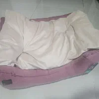 جای خواب سگ. سینی جیش. پارک