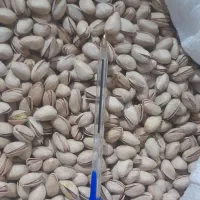 پسته درجه یک