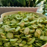 باقالی سبز بهار