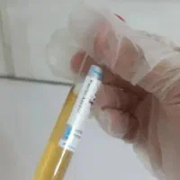 خدمات زیبایی بانوان و دوشیزگان|خدمات آرایشگری و زیبایی|ایذه, |دیوار