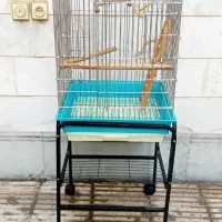 قفس پرنده